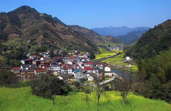 東清村(福建莆田涵江區三江口鎮)