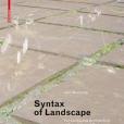 Syntax of Landscape