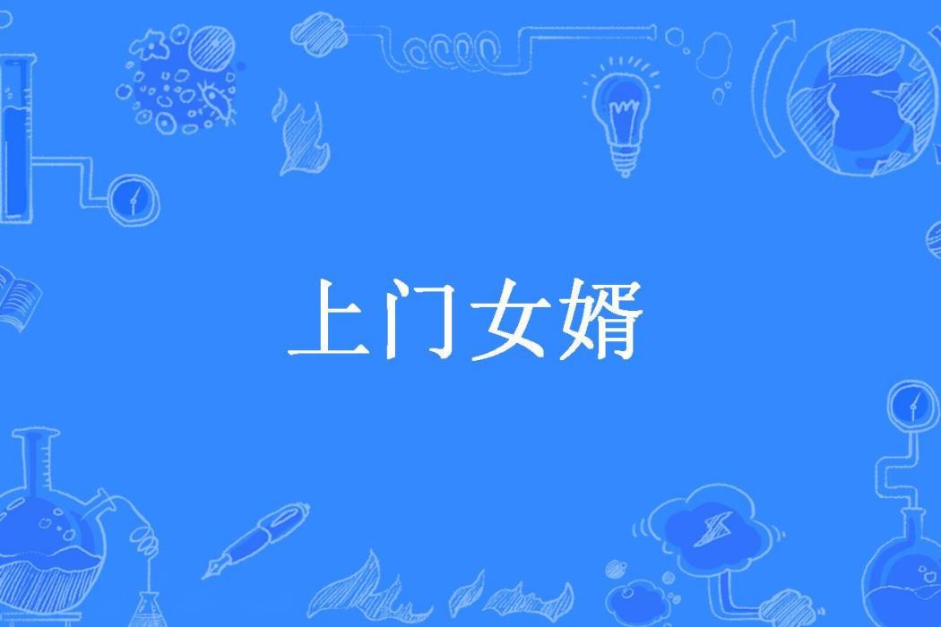 上門女婿(盧小少所著小說)