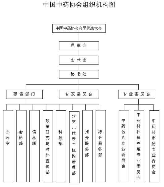 組織機構圖