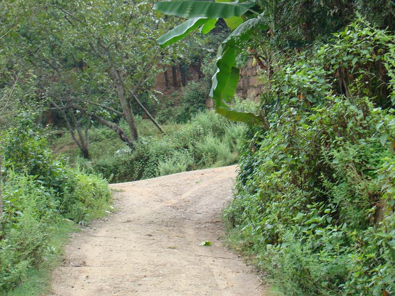 甸頭寨一自然村村內道路