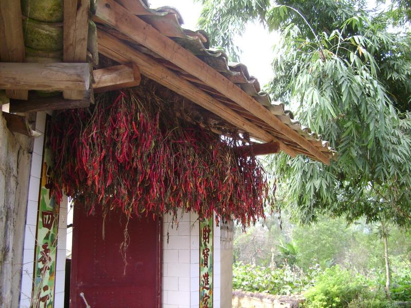 茶花二村