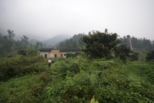 茶山竹海街道