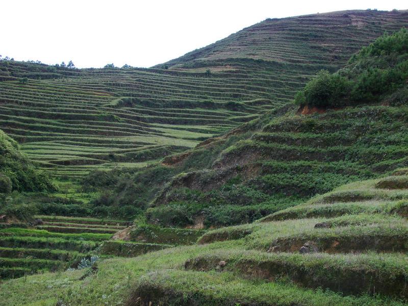 大良子自然村(雲南臨滄雲縣茶房鄉黑樹林村委大良子自然村)