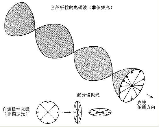 偏振方向