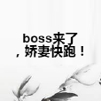 boss來了，嬌妻快跑！