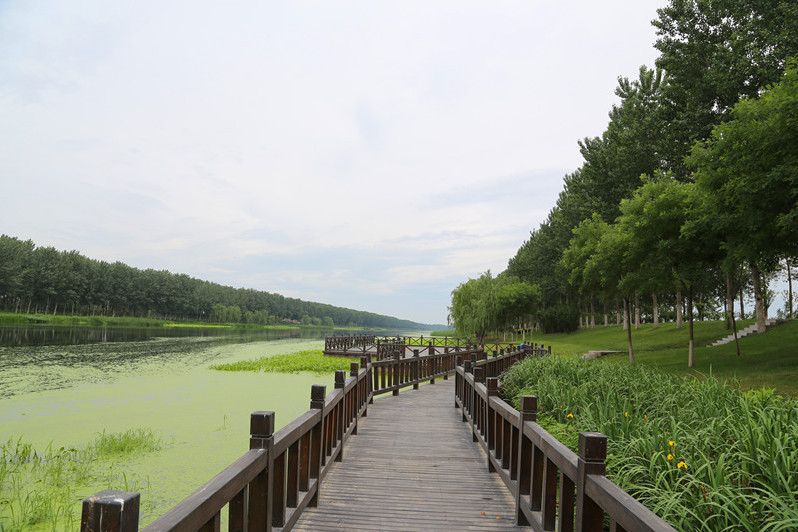 東紙壺郊野公園