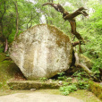 龍泉國家森林公園