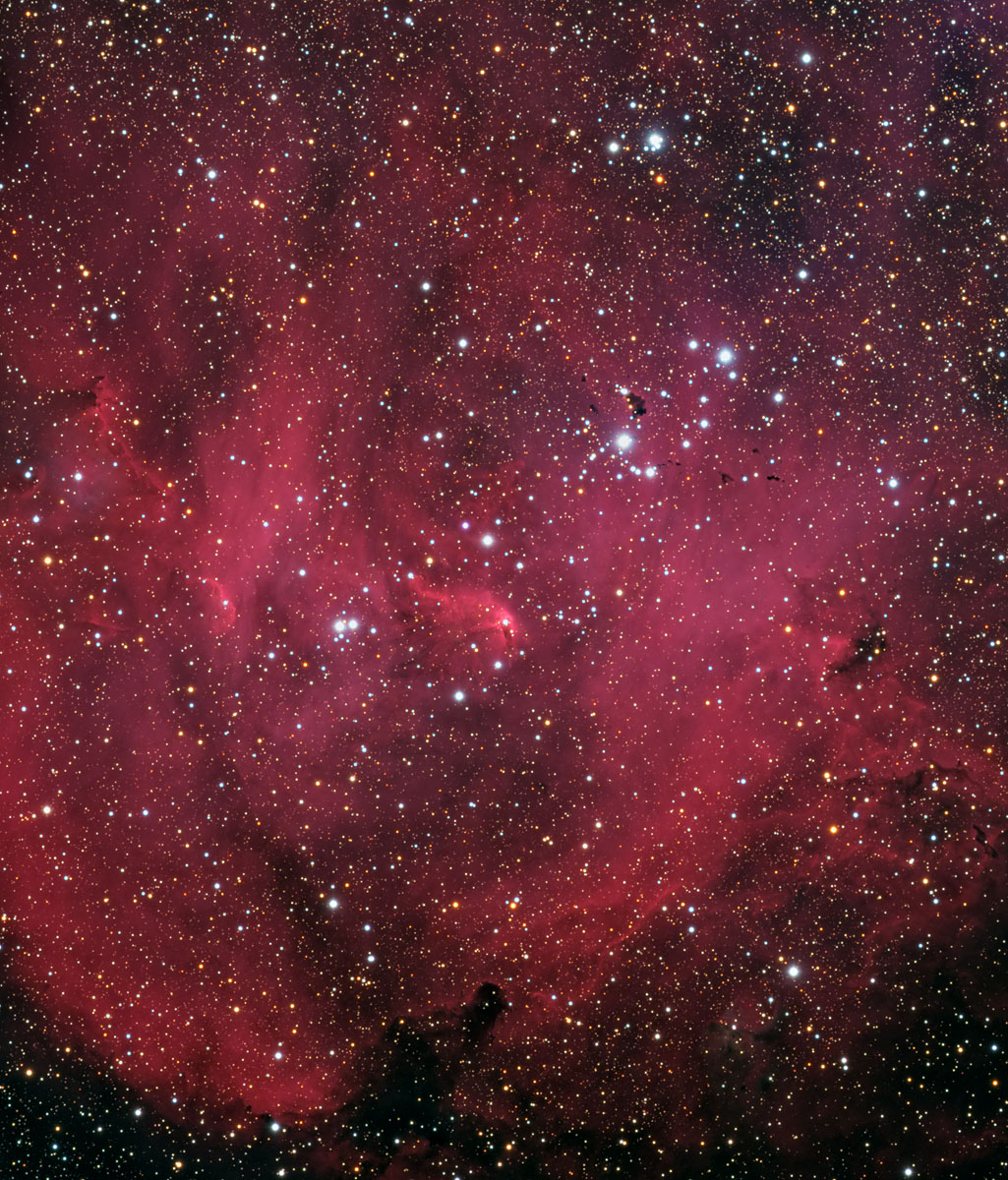 IC 2944