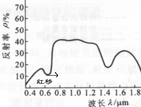 植被曲線紅移