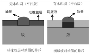 圖⑴ 無水膠印版和傳統PS版的構造對比