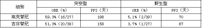 鹽酸埃克替尼片