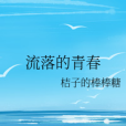 流落的青春