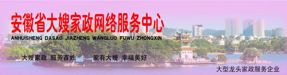 安徽省大嫂家政有限責任公司官方網路平台