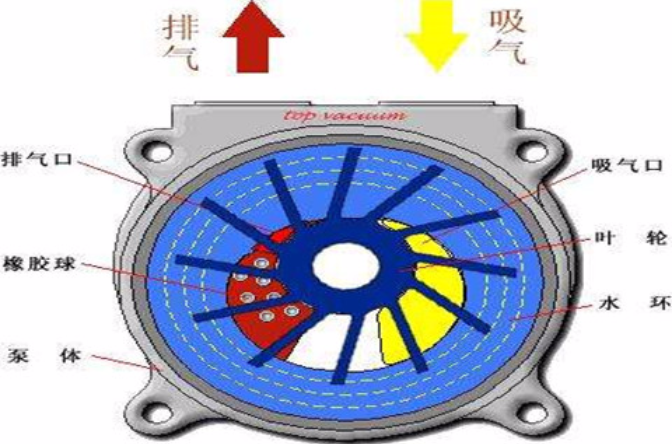 水環真空泵