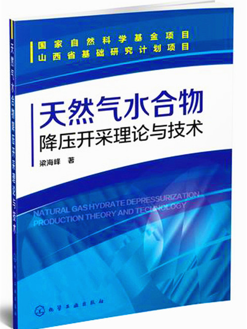 天然氣水合物降壓開採理論與技術