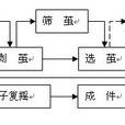 制絲