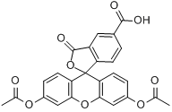 5-羧基螢光素雙醋酸鹽