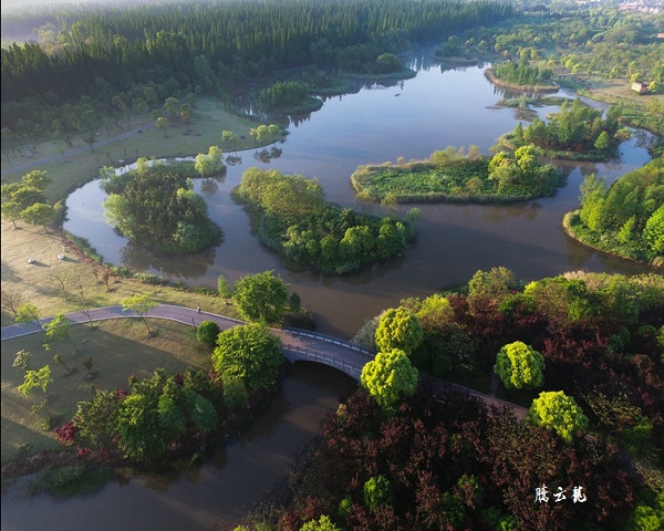 上海東平國家森林公園(上海市東平國家森林公園)