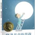 爬進月亮的男孩(2014年河北少年兒童出版社出版的圖書)