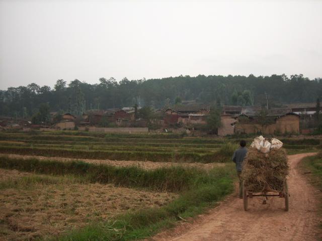 龍樹塘中寨村