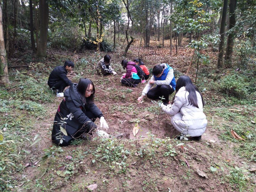 湖北民族學院中醫仲景協會