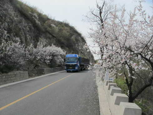 西沙梁村