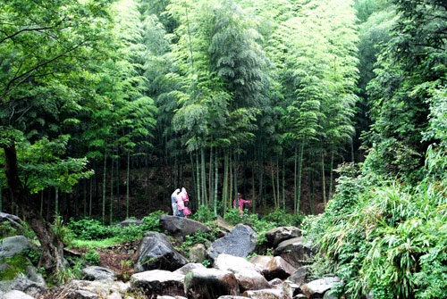 浙江省江山市保全鄉石鼓村