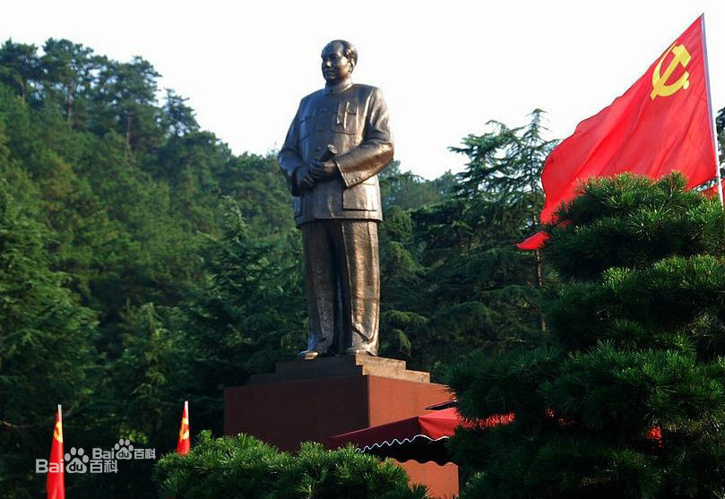 我們愛韶山的紅杜鵑