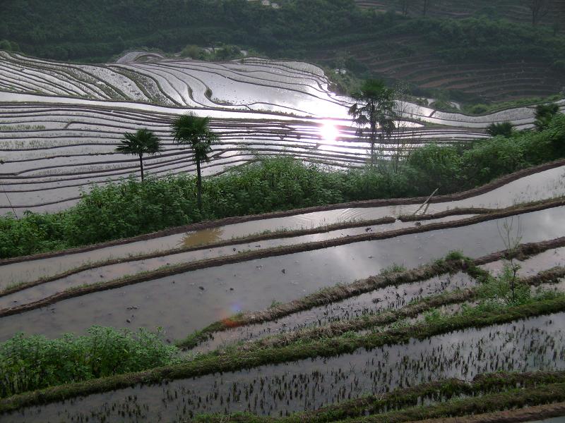 村中田園