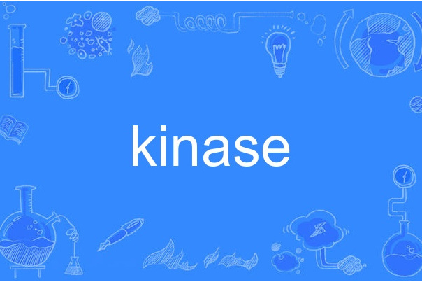 kinase