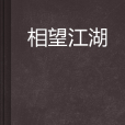 相望江湖(網路小說)