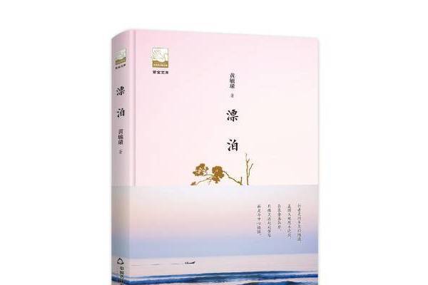 漂泊(2018年中國書籍出版社出版的圖書)