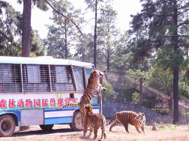 九峰動物園