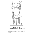 下肢力線