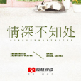 情深不知處(雲朵著網路小說)