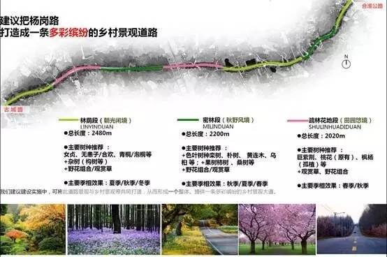 合肥最美鄉村公路