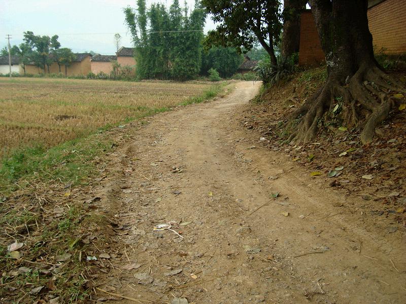 通村道路