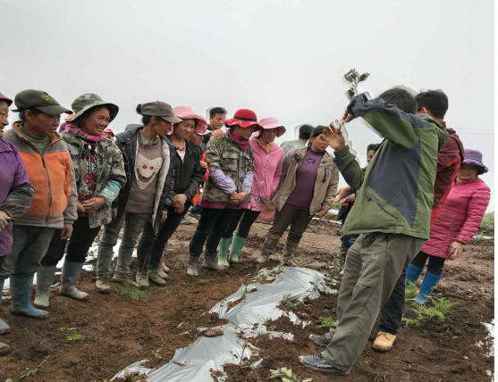 2018年4月12日背崩鄉格林村開展茶葉種植技術培訓