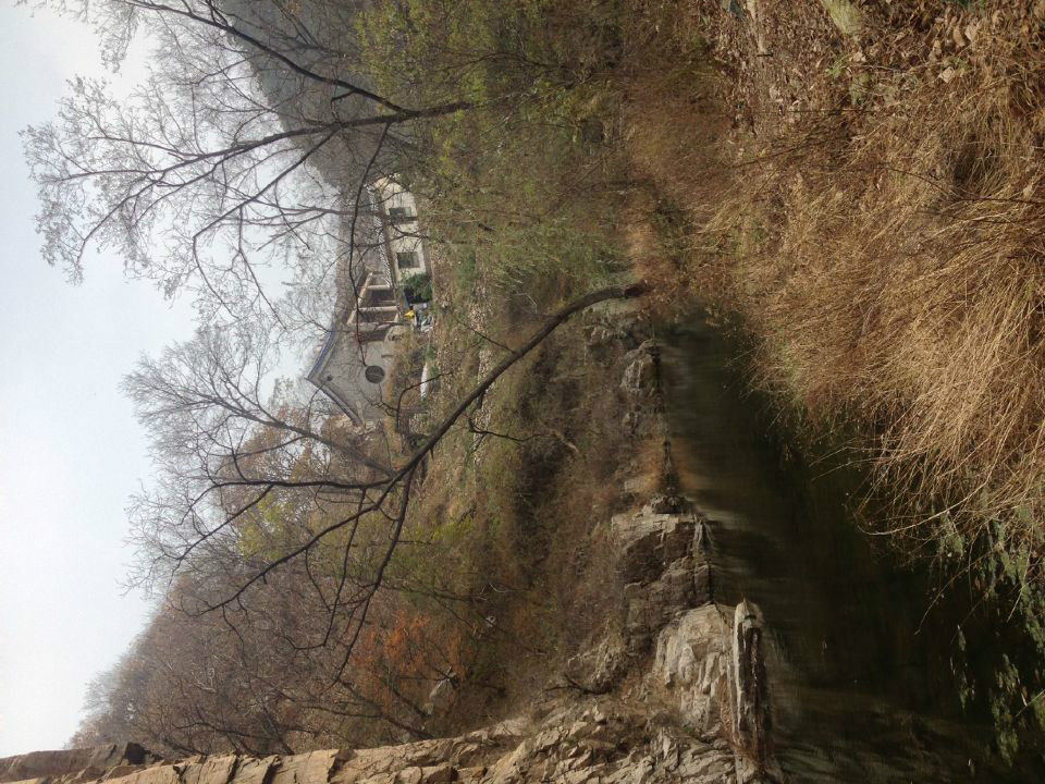 代家莊村(山東省濰坊市安丘市景芝鎮下轄村)