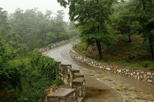 北京西山國家森林公園