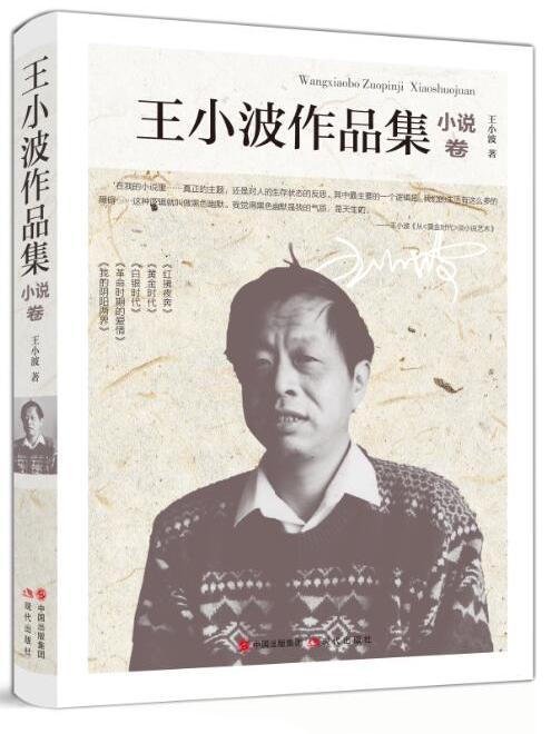 王小波作品集小說卷