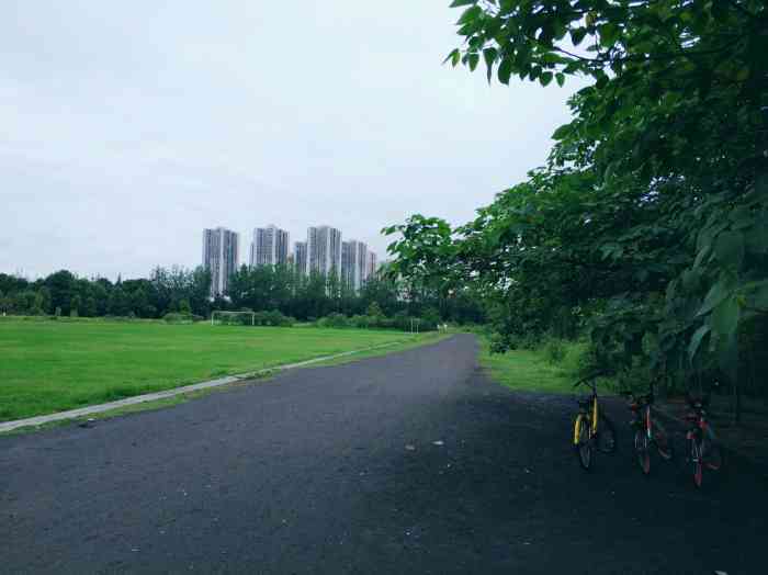 錦江體育公園