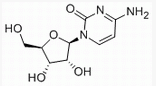 胞嘧啶核糖核苷