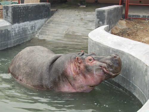 淄博動物園