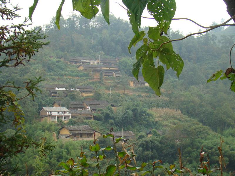 川洞村(雲南廣南縣珠街鎮下轄村)