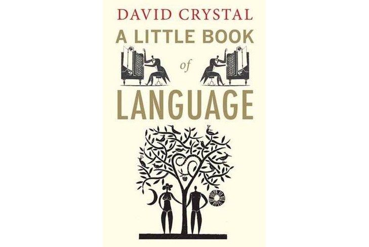 A Little Book of Language