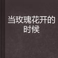 當玫瑰花開的時候(九天雲帆小說)