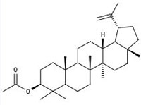 羽扇豆醇乙酸酯