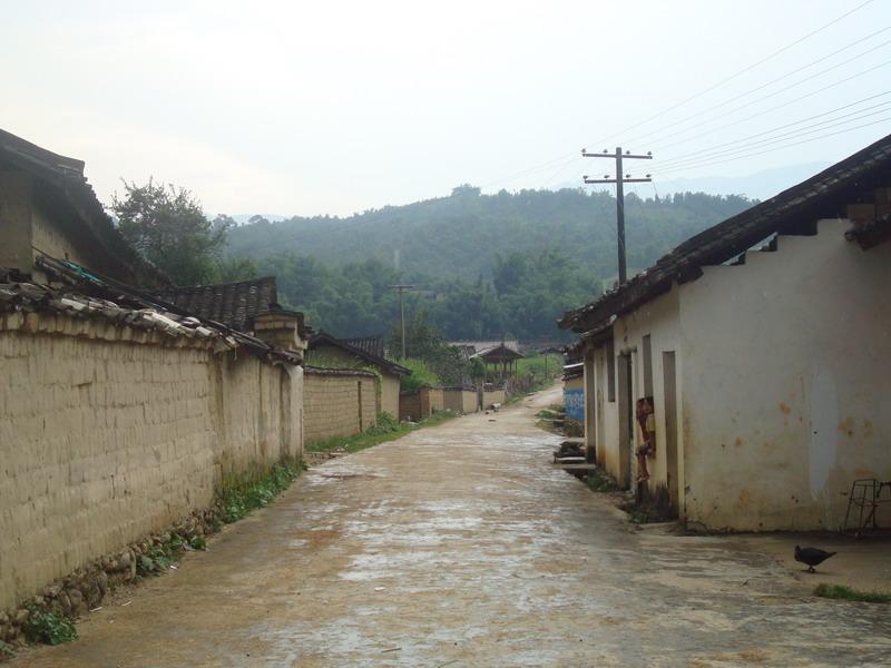 陸昆村內的道路